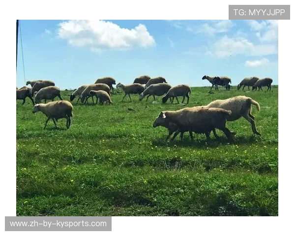乡村荒野骑马赛，驰骋在原生态的绿色天堂，骑马赛马视频