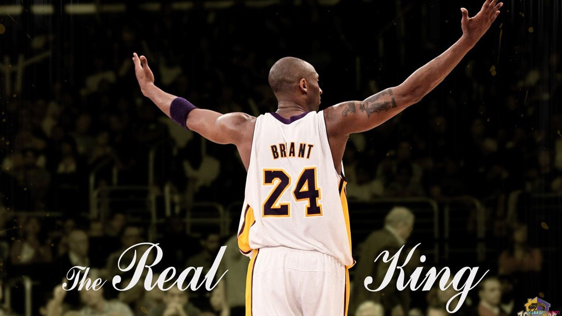 国家队核心球员个人能力提升计划取得显著成果，球队的核心人员